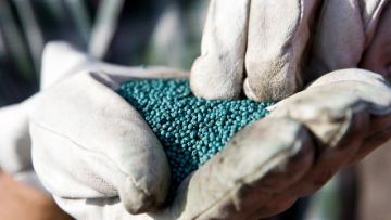 integral pro : traitement de semences utilisable en agriculture biologique